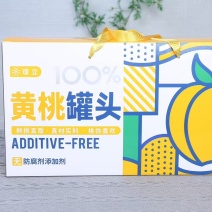 水果罐头510克厂家直销