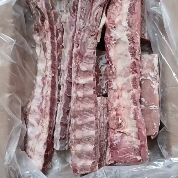 龙骨