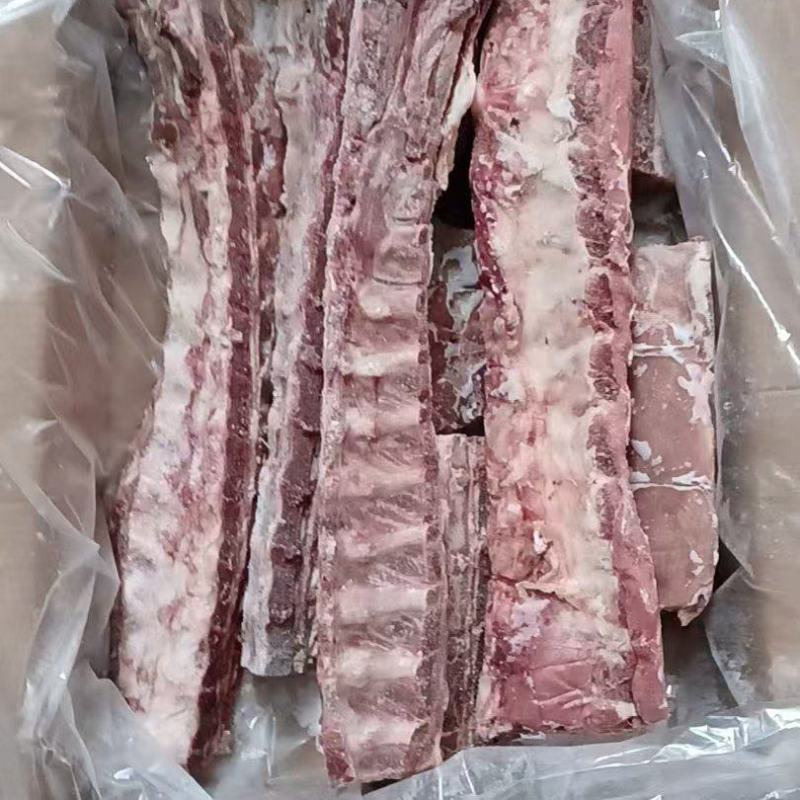 龙骨