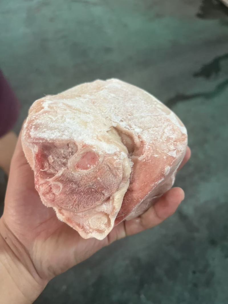 肥猪前后肘10kg13-15个头新货天翔提货1吨货