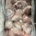 肥猪前后肘10kg13-15个头新货天翔提货1吨货
