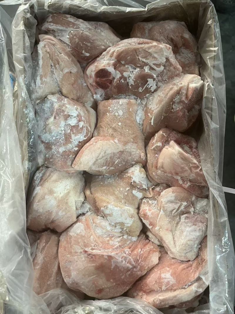 肥猪前后肘10kg13-15个头新货天翔提货1吨货