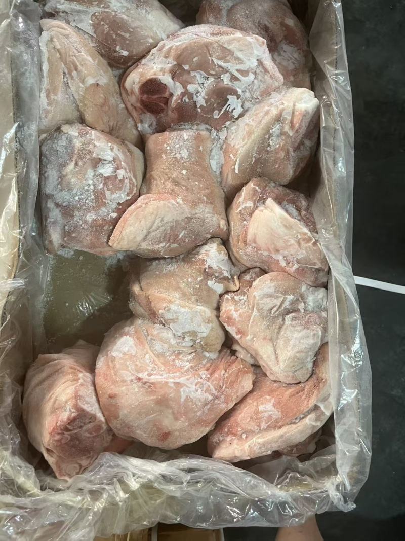 肥猪前后肘10kg13-15个头新货天翔提货1吨货