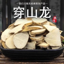 穿山龙中药材野生正品地龙骨穿地龙草药新货穿山龙片包邮