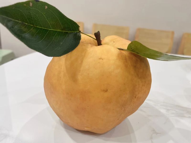 梨果农直发