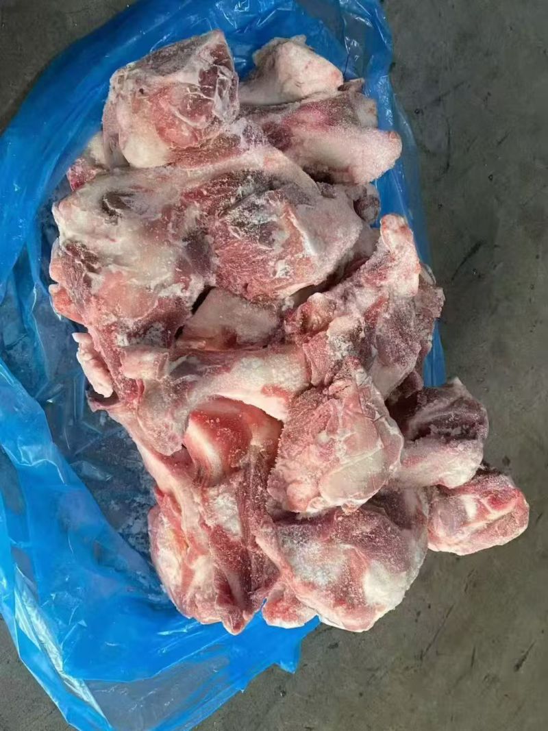 484多肉前腿骨