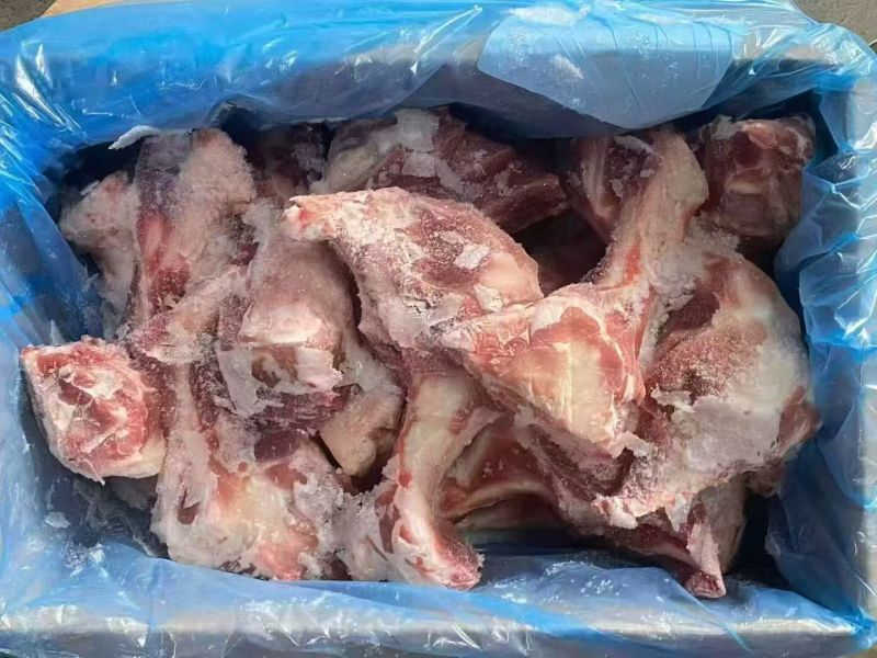 484多肉前腿骨