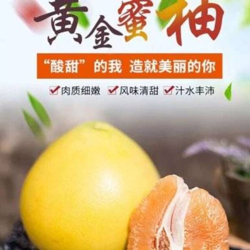 黄金蜜柚