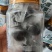 杞菊鹿眼丸爱护眼睛一瓶100克包邮到家