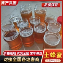 福建正宗土蜂蜜农户自产自销赠送试用装不满意可退