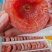 广西平乐柿饼品质好货圆饼吊柿饼源头工厂一件代发