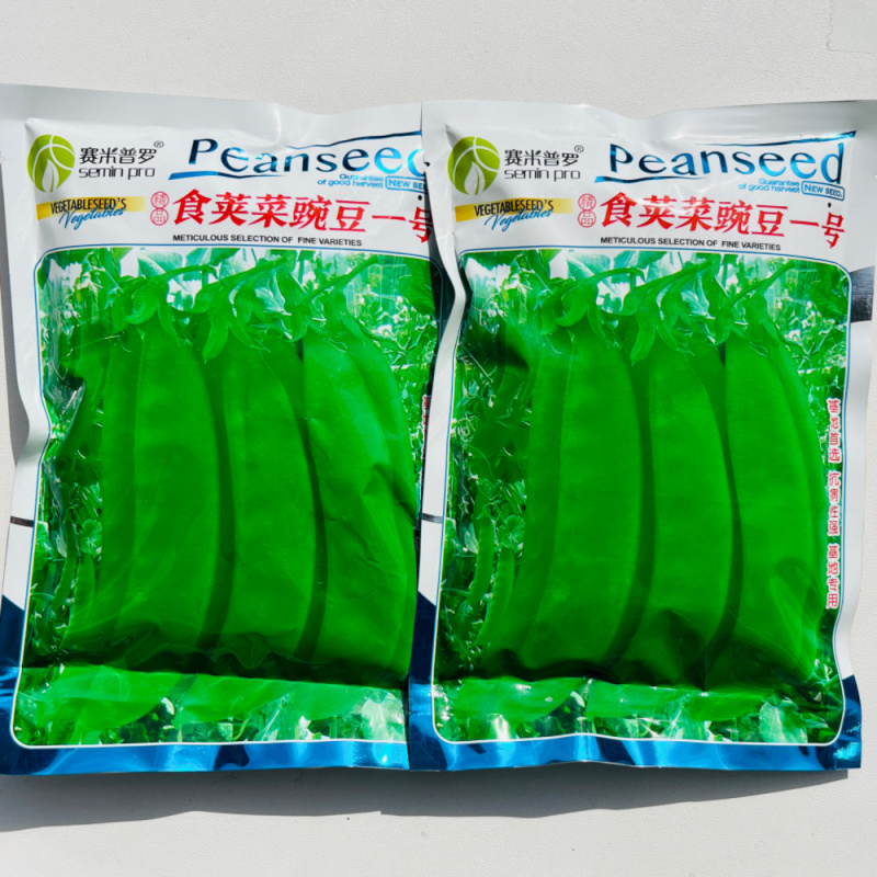 食荚菜豌豆一号豌豆种子早熟耐寒耐旱高产大田用种荷兰豆种子