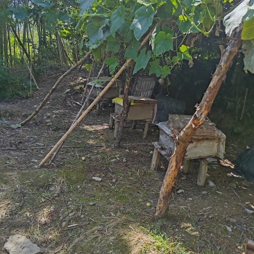 我有少量的南川金佛山土蜂蜜，采集的都是玄参、五蓓等药材花