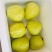 漳州白心芭乐高品质精选果