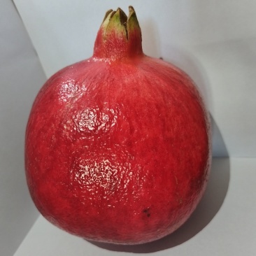 新疆石榴