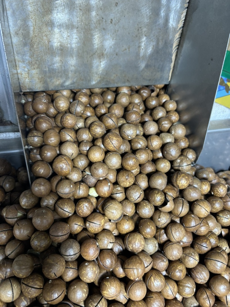夏威夷果**电商商超地摊