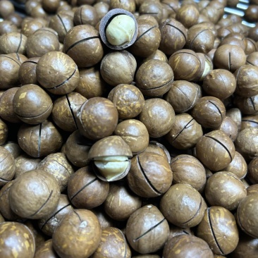 夏威夷果**电商商超地摊
