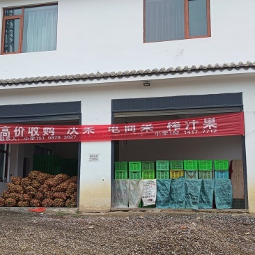 出售冰糖橙电商果