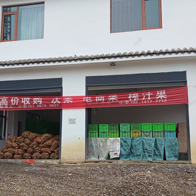 出售冰糖橙电商果