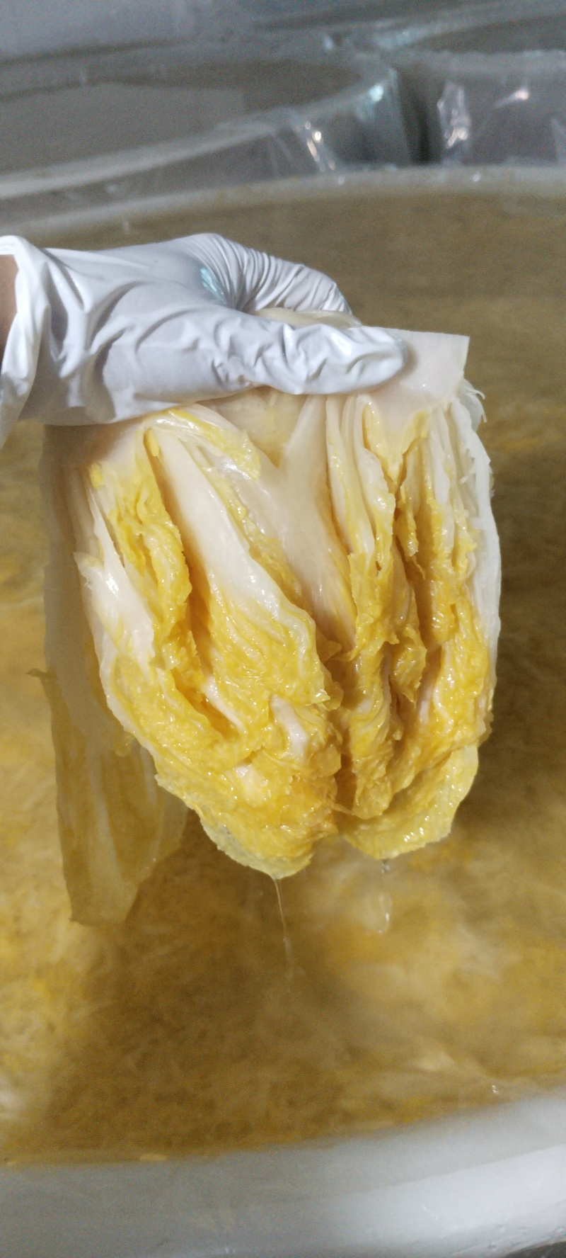 【泡菜】东北酸菜常年有货厂家直发品质保证支持视频看货