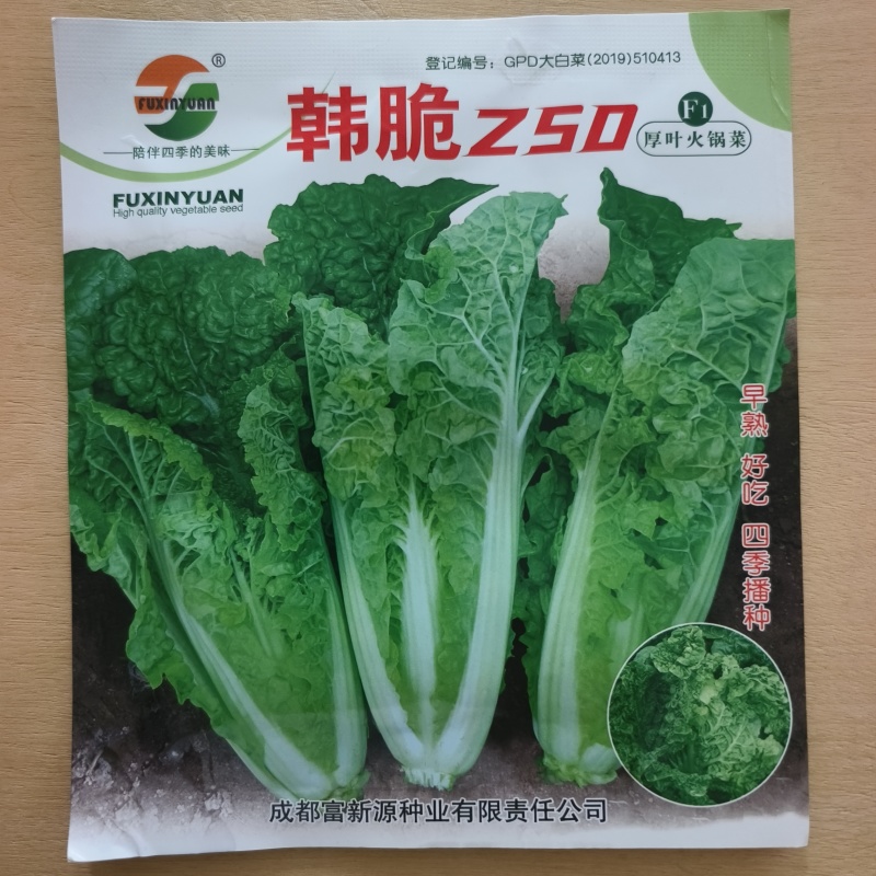 麻叶火锅菜种子无筋高产抗病耐热秋季中熟麻叶大白菜蔬菜种子
