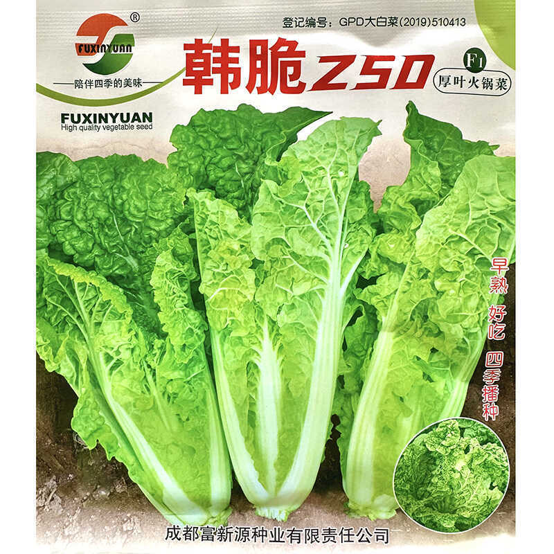 麻叶火锅菜种子无筋高产抗病耐热秋季中熟麻叶大白菜蔬菜种子