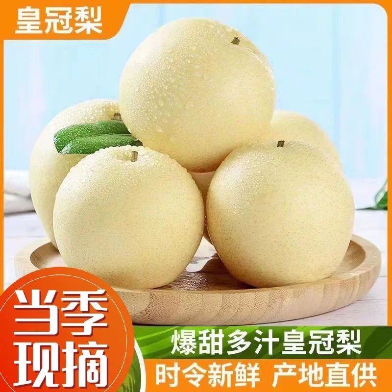 皇冠梨大量供应，一手货源，可对接电商商超等，诚信经营