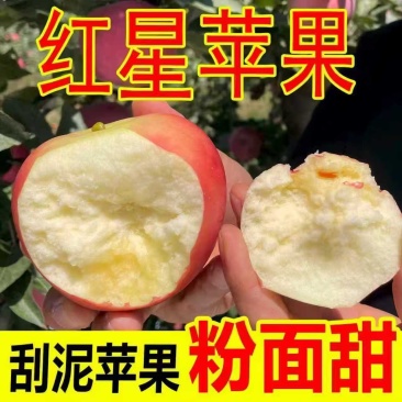 精品红星苹果，产地直发，保质保量，诚信经营，量大从优