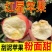 精品红星苹果，产地直发，保质保量，诚信经营，量大从优
