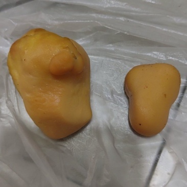 新鲜鸡宝