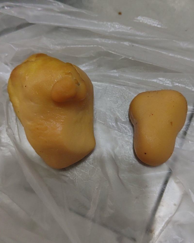 新鲜鸡宝