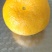 云南蜜橘。小叶蜜橘。新津蜜橘。大量出货，外贸。市场。电商