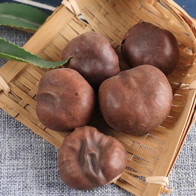中药铺娑罗子天师栗娑婆子仙栗苏罗子