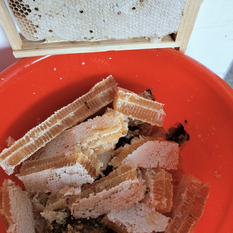 江西赣州土蜂蜜口感好，***品质有保证欢迎选购