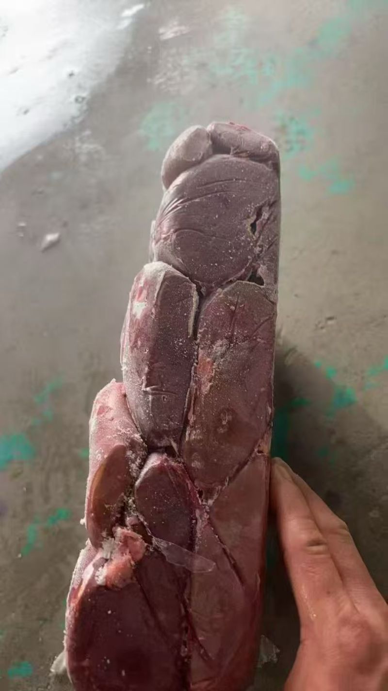 肥猪二级腰子