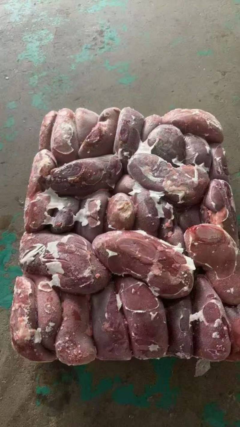 肥猪二级腰子