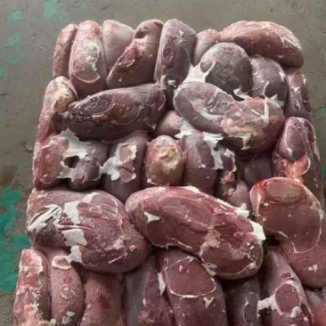 肥猪二级腰子