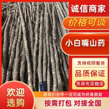 河北小白嘴白山药，软糯香甜可口，电商，走市场，都可以。