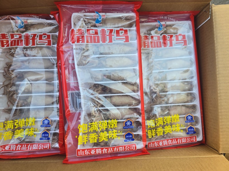 籽乌海兔