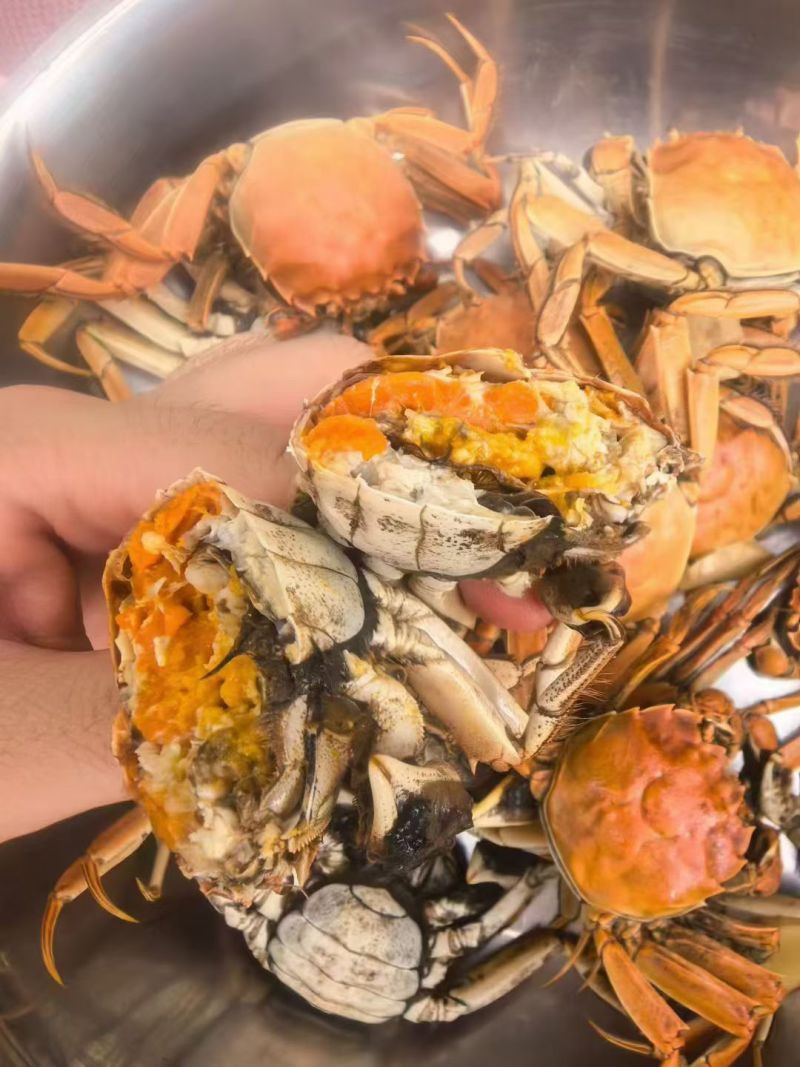 盘锦河蟹大量供应，产地直发，货源充足，量大从优。新鲜发货