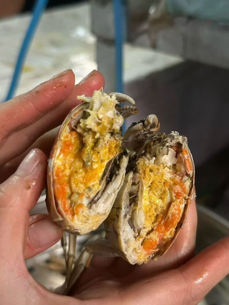 盘锦河蟹大量供应，产地直发，货源充足，量大从优。新鲜发货