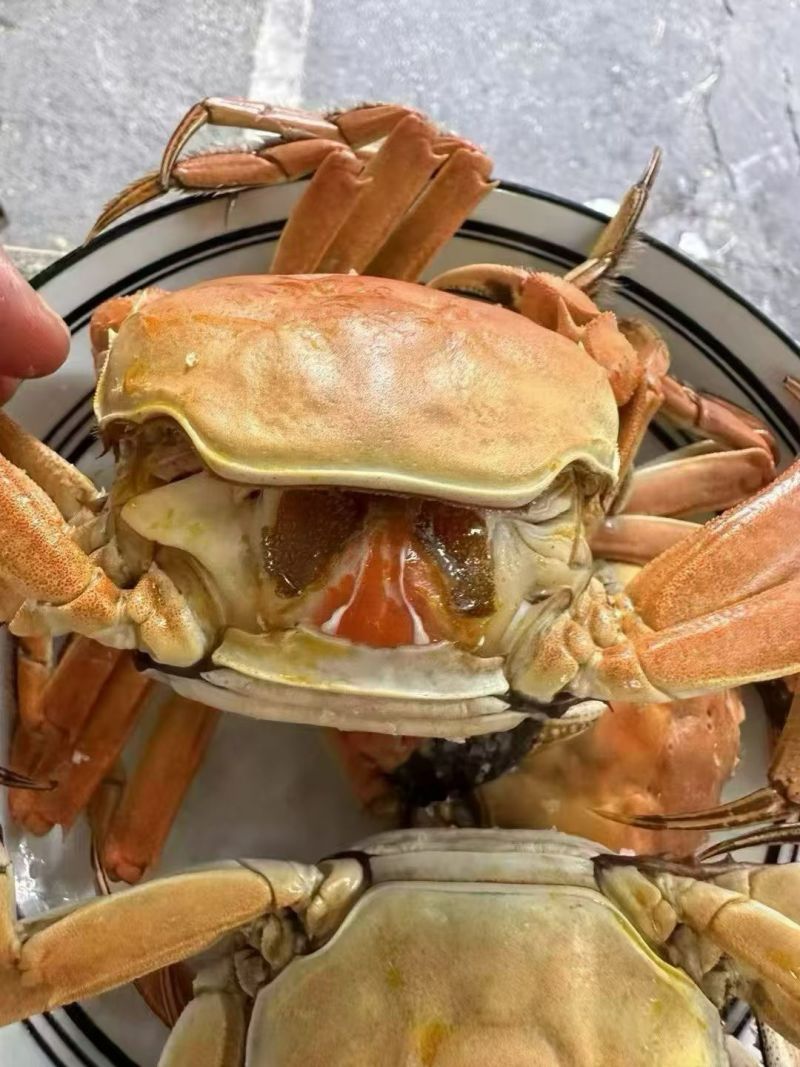 盘锦河蟹大量供应，产地直发，货源充足，量大从优。新鲜发货