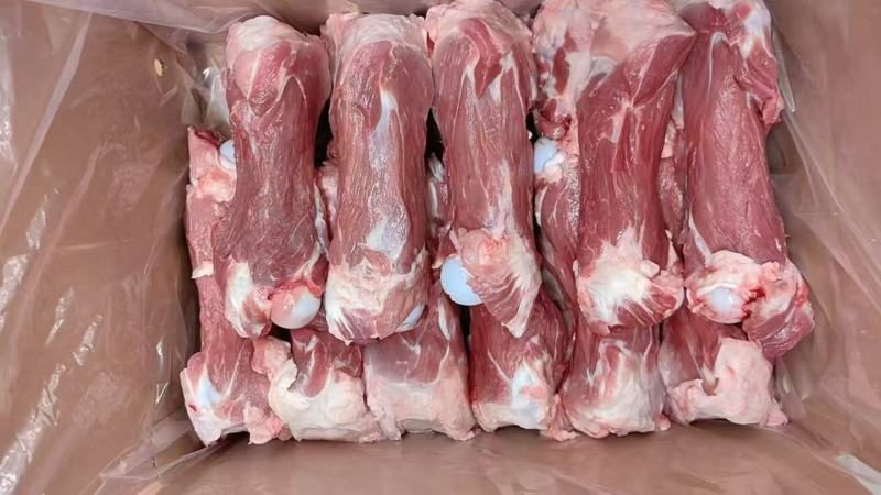 肥猪后腿骨