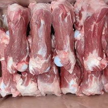 肥猪后腿骨