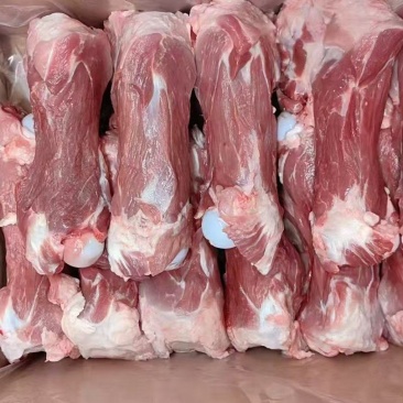 肥猪后腿骨