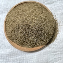 芹菜子精选货无杂质即见即所得货源充足