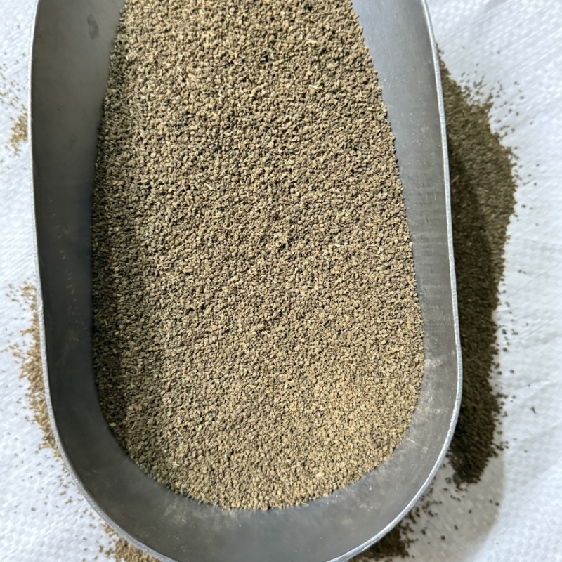 芹菜子精选货无杂质即见即所得货源充足