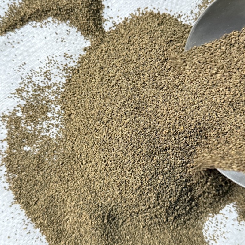 芹菜子精选货无杂质即见即所得货源充足