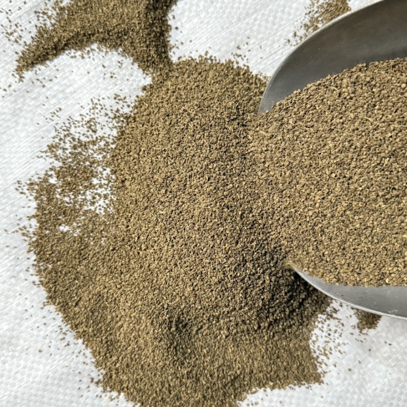 芹菜子精选货无杂质即见即所得货源充足