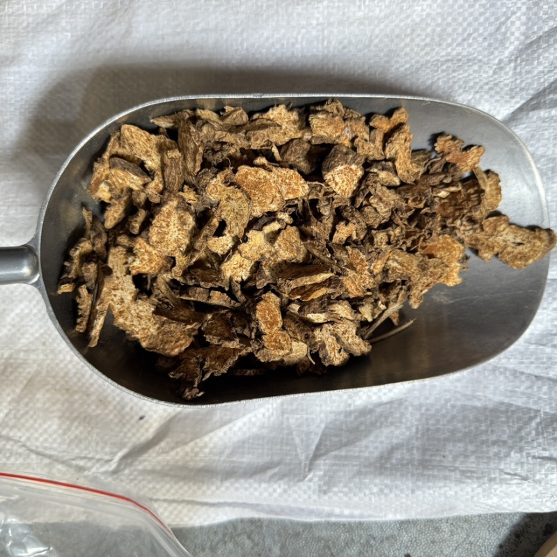 种植苍术北苍术精选货大货供应货源充足